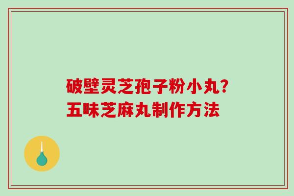 破壁灵芝孢子粉小丸？五味芝麻丸制作方法