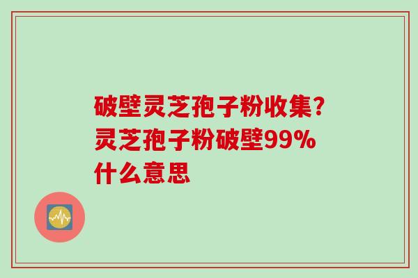 破壁灵芝孢子粉收集？灵芝孢子粉破壁99%什么意思