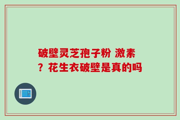 破壁灵芝孢子粉 激素?花生衣破壁是真的吗 破壁灵芝孢子粉 激素?花生衣破壁是真的吗