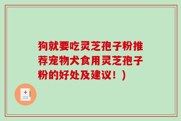 狗就要吃灵芝孢子粉推荐宠物犬食用灵芝孢子粉的好处及建议！)