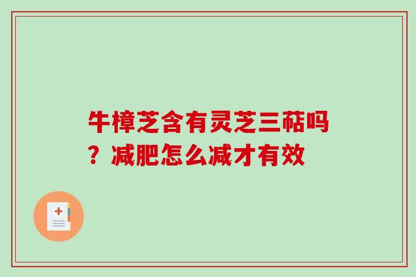 牛樟芝含有灵芝三萜吗？减肥怎么减才有效