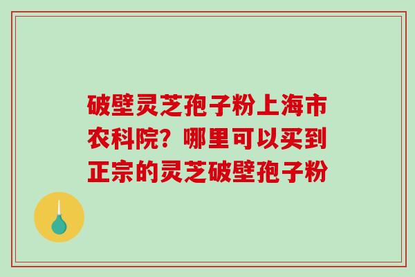 破壁灵芝孢子粉上海市农科院？哪里可以买到正宗的灵芝破壁孢子粉