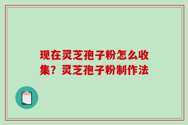 现在灵芝孢子粉怎么收集？灵芝孢子粉制作法