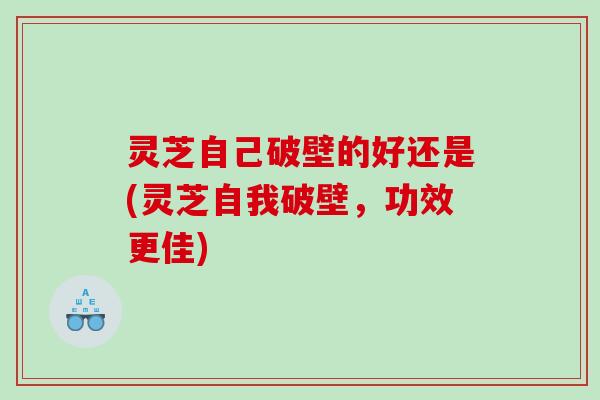 灵芝自己破壁的好还是(灵芝自我破壁,功效更佳) 灵芝自己破壁的好还是(灵芝自我破壁,功效更佳)