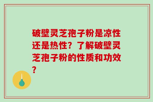 破壁灵芝孢子粉是凉性还是热性？了解破壁灵芝孢子粉的性质和功效？