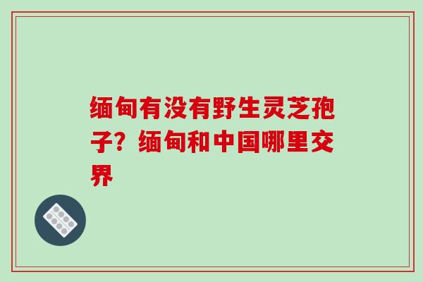 缅甸有没有野生灵芝孢子？缅甸和中国哪里交界