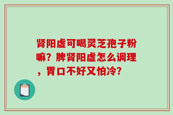 肾阳虚可喝灵芝孢子粉嘛？脾肾阳虚怎么调理，胃口不好又怕冷？