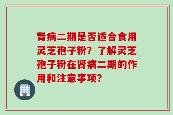 肾病二期是否适合食用灵芝孢子粉？了解灵芝孢子粉在肾病二期的作用和注意事项？