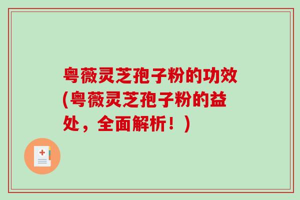 粤薇灵芝孢子粉的功效(粤薇灵芝孢子粉的益处，全面解析！)