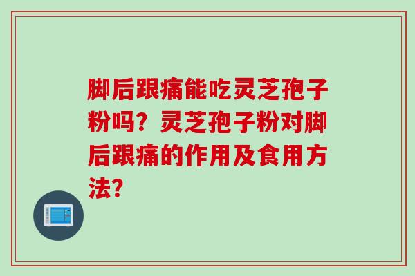 脚后跟痛能吃灵芝孢子粉吗？灵芝孢子粉对脚后跟痛的作用及食用方法？