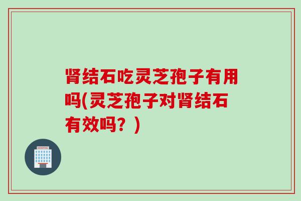 肾结石吃灵芝孢子有用吗(灵芝孢子对肾结石有效吗？)