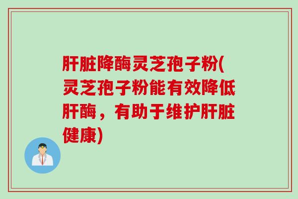 肝脏降酶灵芝孢子粉(灵芝孢子粉能有效降低肝酶，有助于维护肝脏健康)