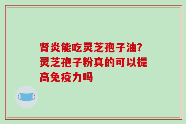 肾炎能吃灵芝孢子油？灵芝孢子粉真的可以提高免疫力吗