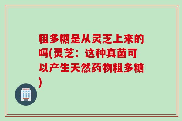 粗多糖是从灵芝上来的吗(灵芝：这种真菌可以产生天然药物粗多糖)