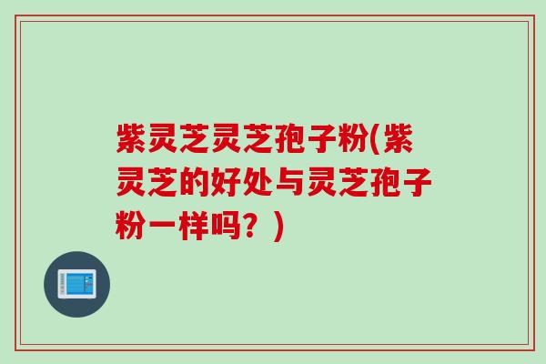 紫灵芝灵芝孢子粉(紫灵芝的好处与灵芝孢子粉一样吗？)