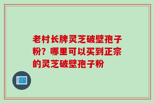 老村长牌灵芝破壁孢子粉？哪里可以买到正宗的灵芝破壁孢子粉