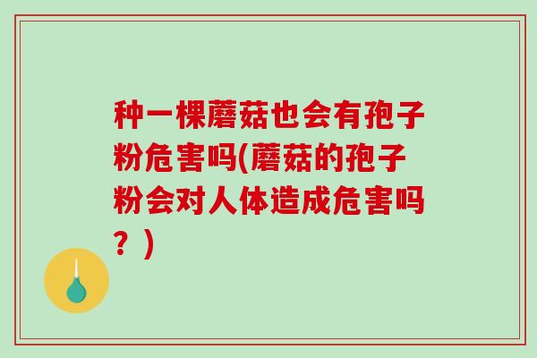 种一棵蘑菇也会有孢子粉危害吗(蘑菇的孢子粉会对人体造成危害吗？)