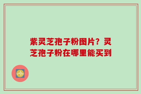 紫灵芝孢子粉图片？灵芝孢子粉在哪里能买到