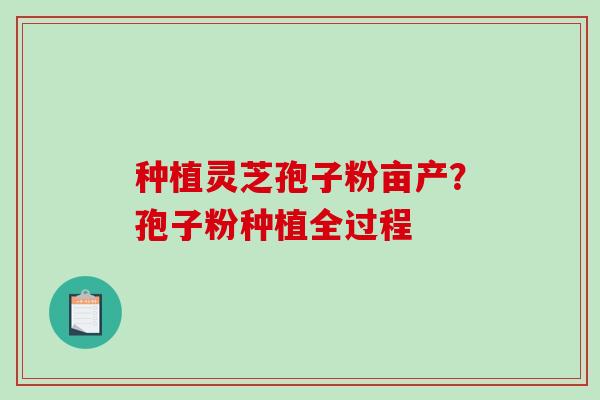 种植灵芝孢子粉亩产？孢子粉种植全过程