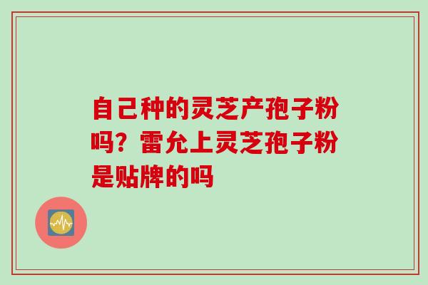 自己种的灵芝产孢子粉吗？雷允上灵芝孢子粉是贴牌的吗