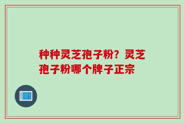 种种灵芝孢子粉？灵芝孢子粉哪个牌子正宗