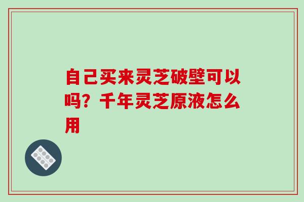 自己买来灵芝破壁可以吗？千年灵芝原液怎么用