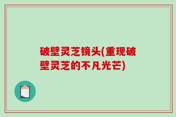 破壁灵芝镜头(重现破壁灵芝的不凡光芒)