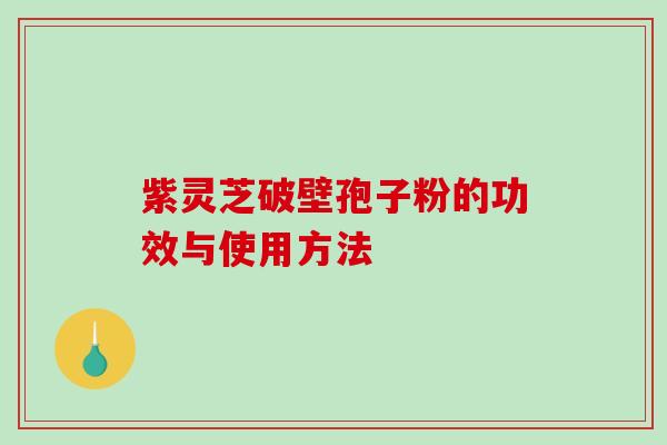 紫灵芝破壁孢子粉的功效与使用方法