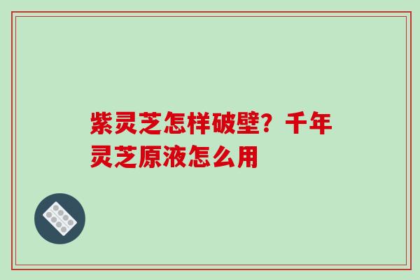 紫灵芝怎样破壁？千年灵芝原液怎么用