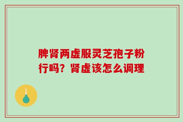 脾肾两虚服灵芝孢子粉行吗？肾虚该怎么调理