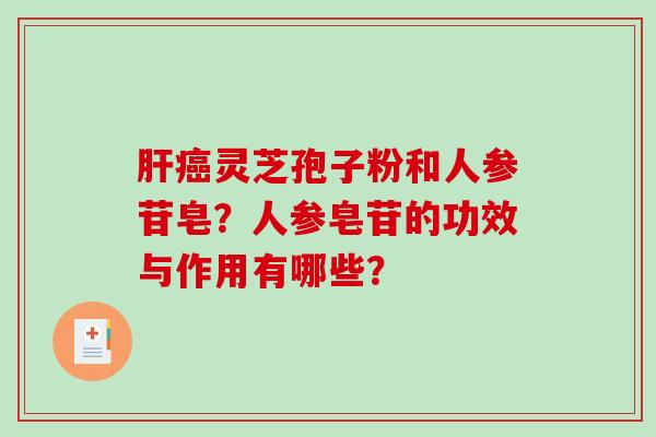 肝癌灵芝孢子粉和人参苷皂？人参皂苷的功效与作用有哪些？