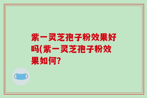 紫一灵芝孢子粉效果好吗(紫一灵芝孢子粉效果如何？
