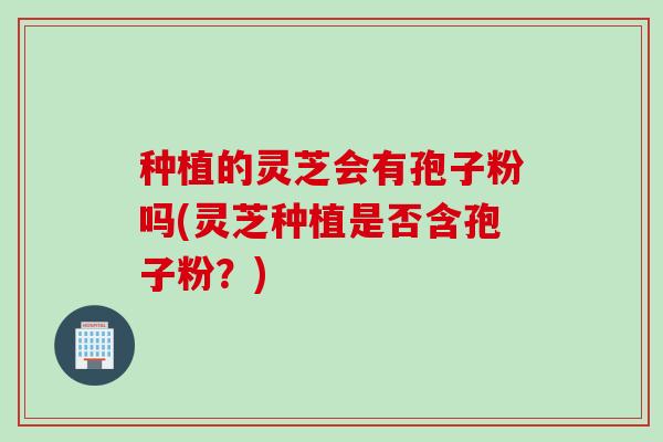 种植的灵芝会有孢子粉吗(灵芝种植是否含孢子粉？)