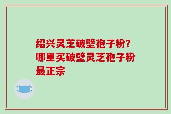 绍兴灵芝破壁孢子粉？哪里买破壁灵芝孢子粉最正宗