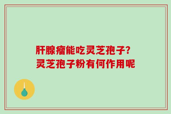 肝腺瘤能吃灵芝孢子？灵芝孢子粉有何作用呢