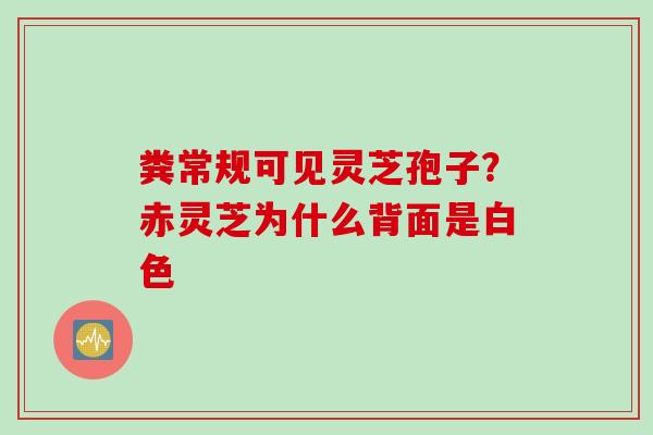粪常规可见灵芝孢子？赤灵芝为什么背面是白色