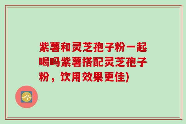 紫薯和灵芝孢子粉一起喝吗紫薯搭配灵芝孢子粉，饮用效果更佳)