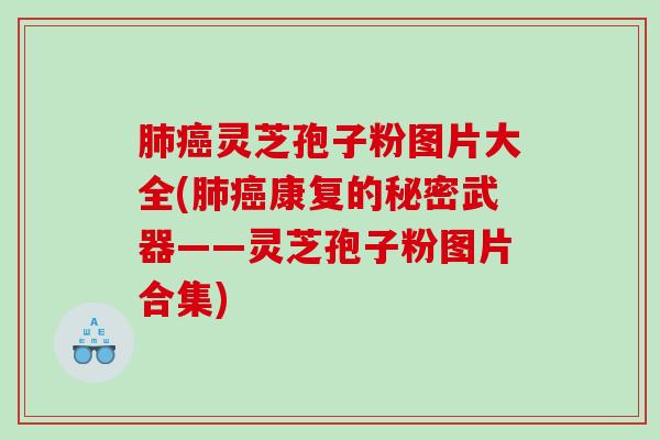 肺癌灵芝孢子粉图片大全(肺癌康复的秘密武器——灵芝孢子粉图片合集)