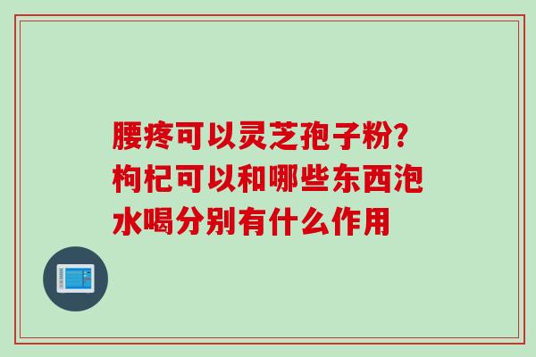 腰疼可以灵芝孢子粉？枸杞可以和哪些东西泡水喝分别有什么作用