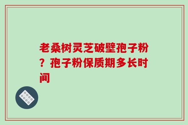 老桑树灵芝破壁孢子粉？孢子粉保质期多长时间