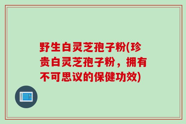 野生白灵芝孢子粉(珍贵白灵芝孢子粉，拥有不可思议的保健功效)