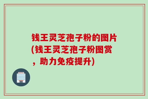 钱王灵芝孢子粉的图片(钱王灵芝孢子粉图赏，助力免疫提升)