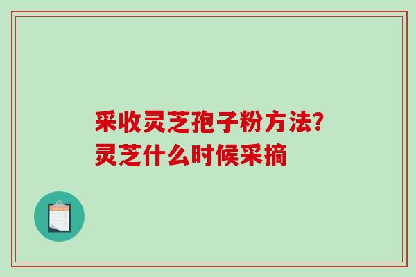 采收灵芝孢子粉方法？灵芝什么时候采摘
