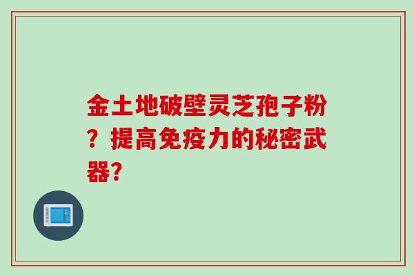 金土地破壁灵芝孢子粉？提高免疫力的秘密武器？