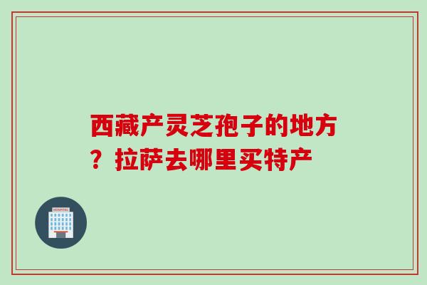 西藏产灵芝孢子的地方？拉萨去哪里买特产