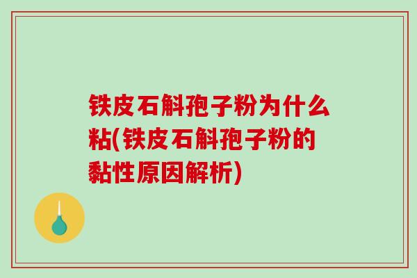 铁皮石斛孢子粉为什么粘(铁皮石斛孢子粉的黏性原因解析)