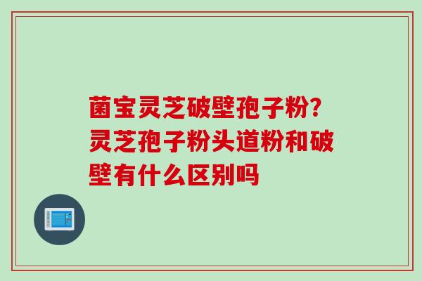 菌宝灵芝破壁孢子粉？灵芝孢子粉头道粉和破壁有什么区别吗