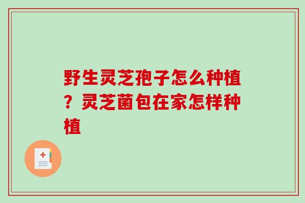 野生灵芝孢子怎么种植？灵芝菌包在家怎样种植