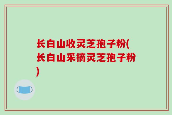 长白山收灵芝孢子粉(长白山采摘灵芝孢子粉)