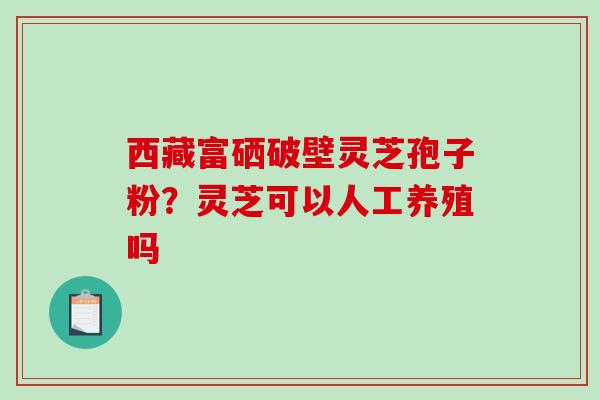 西藏富硒破壁灵芝孢子粉？灵芝可以人工养殖吗
